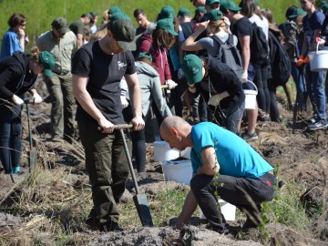 Sadzenie lasu na terenie BPK., <p>Henryk Bałut</p>